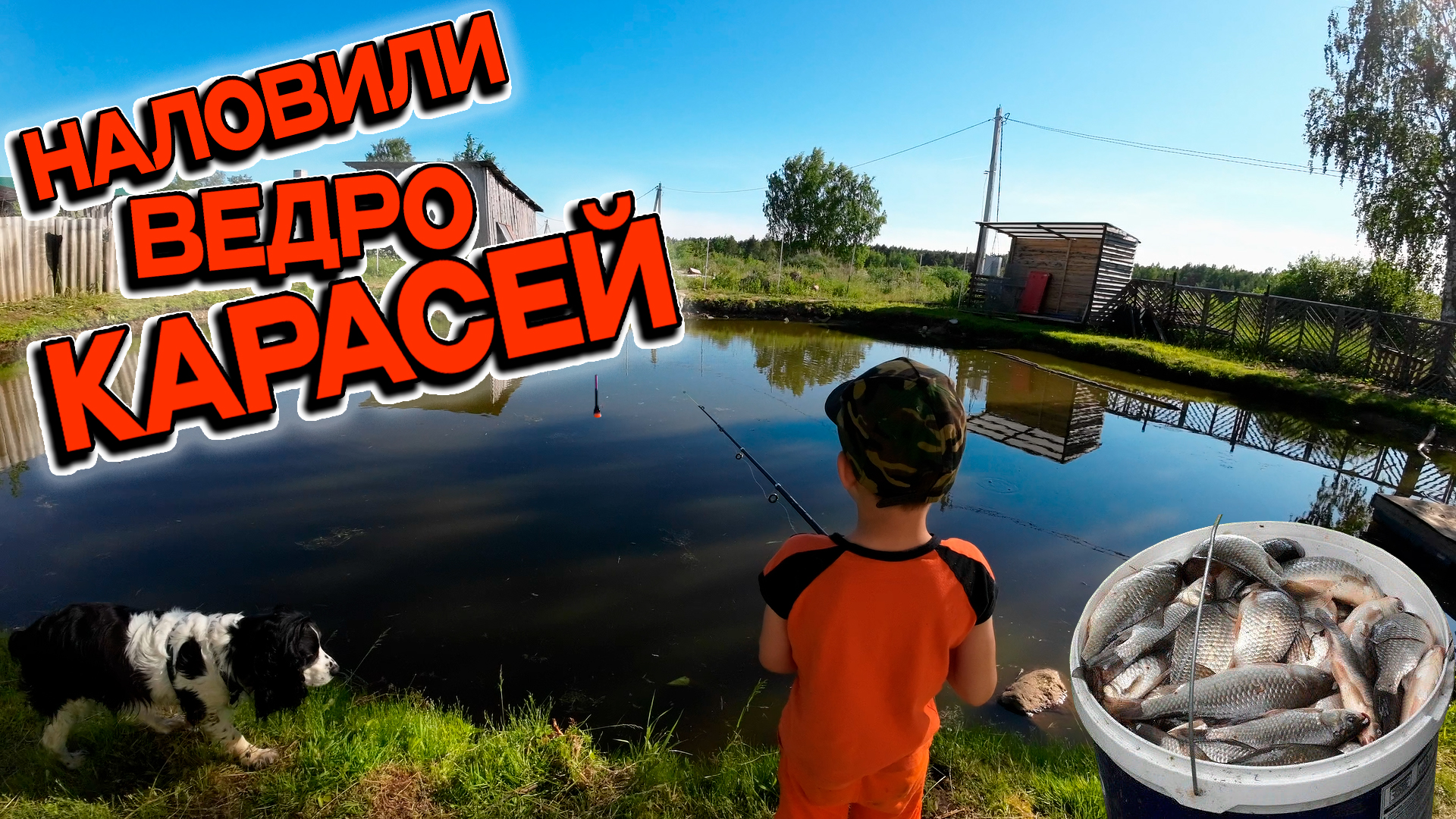 Наловили Ведро Карасей С Сыном На Пруду На Даче / Рыбалка С Сыном / Рыбалка На Пруду смотреть онлайн