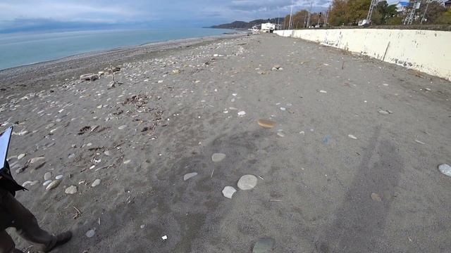 Запускаем Новый Проект / Идея на Миллион / Бизнес с нуля / Бизнес на сезон смотреть онлайн