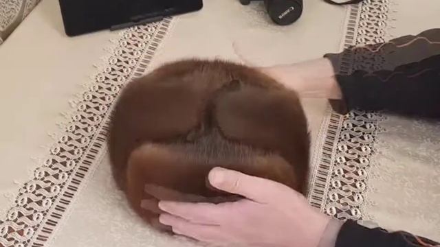 Мужская ушанка из ондатры смотреть онлайн