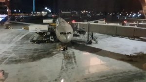 Летим в Шарм эль Шейх Аэрофлотом. Свинарник на борту и другие "приколы" регулярного рейса.