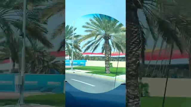 Ferrari World 2020??? смотреть онлайн