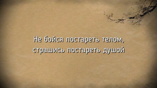 НЕВЕРОЯТНО ТОЧНЫЕ КИТАЙСКИЕ ЦИТАТЫ, ПОСЛОВИЦЫ И ПОГОВОРКИ. ВОСТОЧНАЯ МУДРОСТЬ АФОРИЗМЫ МУДРЫЕ МЫСЛИ смотреть онлайн