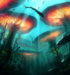 Kupla - nowhere else