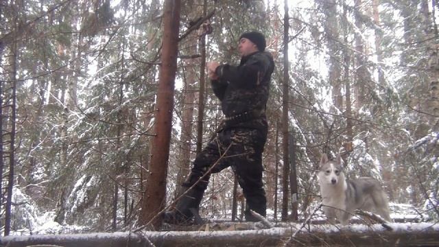 охота на белку и куницу 04.12.21 смотреть онлайн