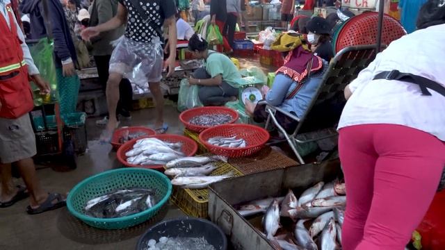 Ever Seen Cambodian Fish & Seafood Market In Early Morning? Dry Fish, Alive Fish, Alive Prawn,&Mor смотреть онлайн