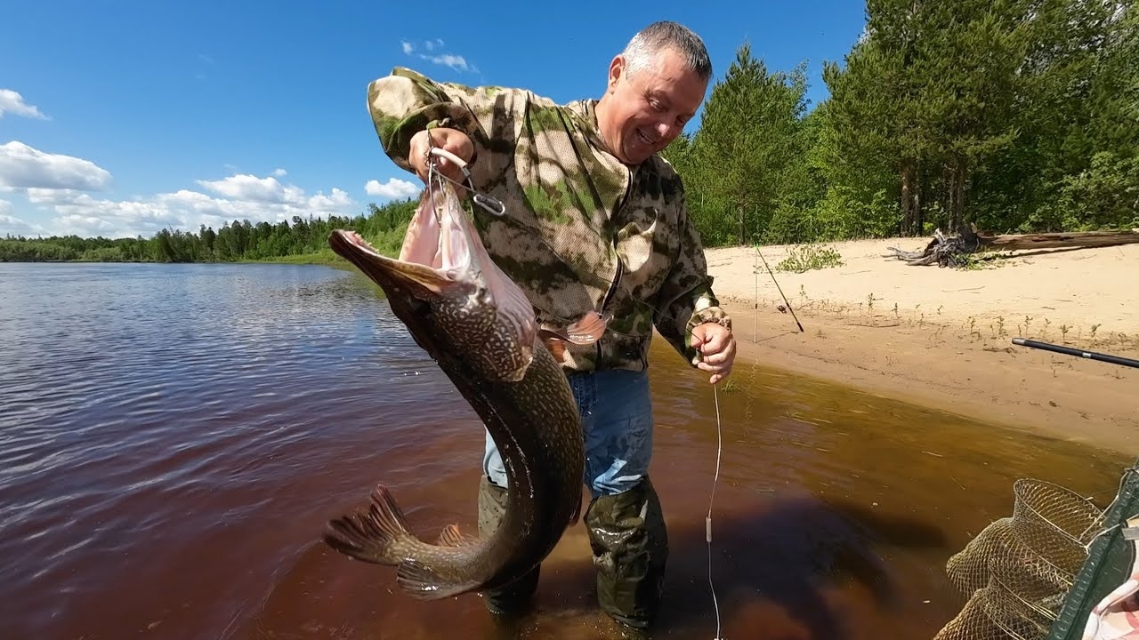 ЭТОТ ВЕС БУДЕТ ТРУДНО ПОБИТЬ !?   #рыбалка #щука #спиннинг #fishing #pike #pikefishing #perch