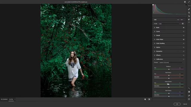 Moody Green Photo Color Grading in Photoshop | Camera Raw Filter 2022 смотреть онлайн