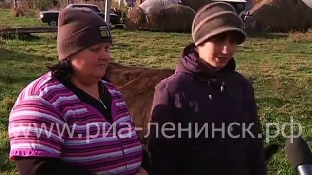 В Ленинске-Кузнецком стартовала вакцинация домашнего скота смотреть онлайн