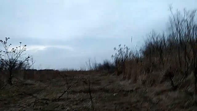 ЧЁРНЫЕ КОПАТЕЛИ В сектанском ЛЕСУ