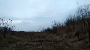 ЧЁРНЫЕ КОПАТЕЛИ В сектанском ЛЕСУ