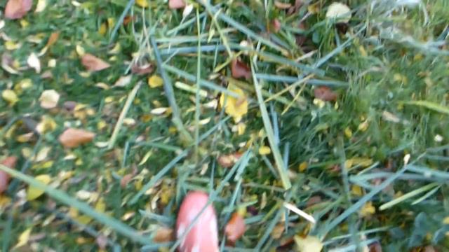 GETTING THE POND READY FOR WINTER