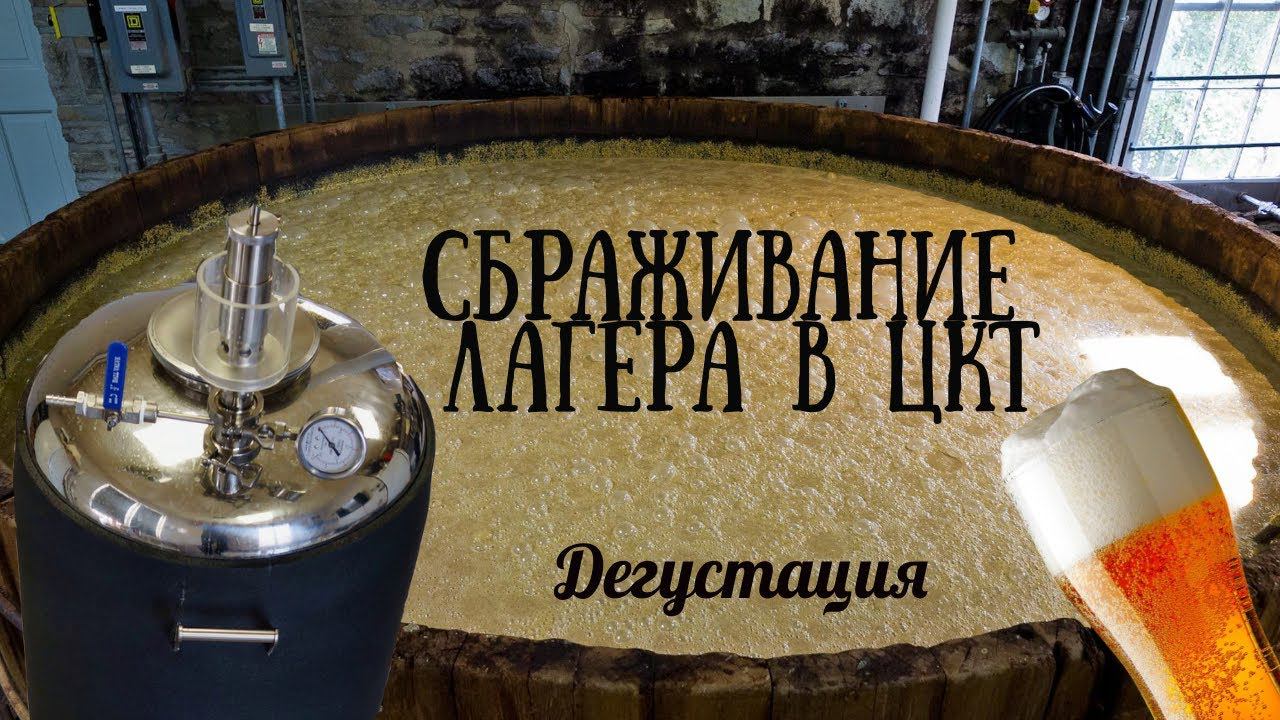 Сбраживание лагера в ЦКТ, дегустация получившегося домашнего лагера. смотреть онлайн