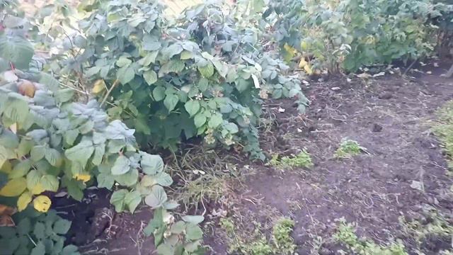 Выдался теплый денёк, можно и поработать. смотреть онлайн
