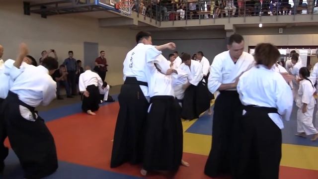 Шихан Айкидо, Стивен Сигал 7 дан смотреть онлайн