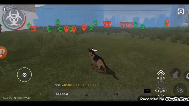 Обзор игры Dog Online!!! смотреть онлайн