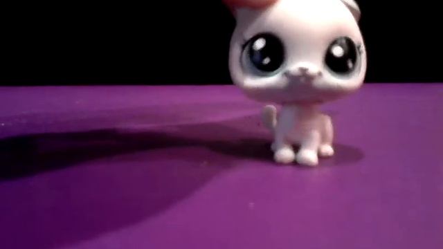 10 ошибок начинающих LPS блоггеров 1 часть смотреть онлайн