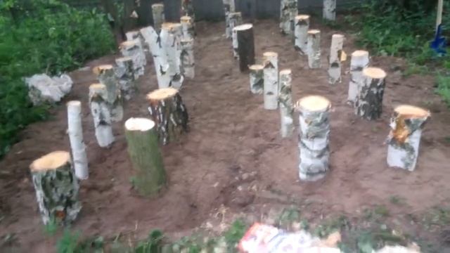 Посадка глив в Польщі смотреть онлайн