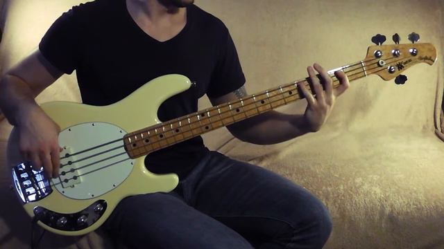 The Village People – YMCA(BASS COVER)