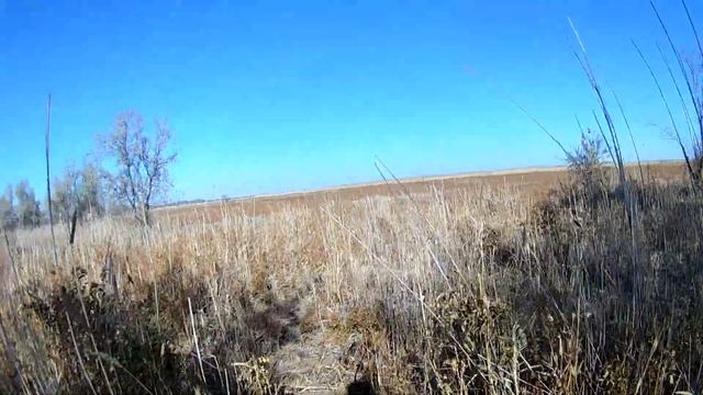 Рыбалка на Или, открытие сезона охоты на фазана. смотреть онлайн