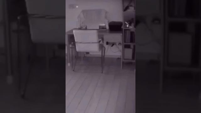 Домовой скрытая камера ставлю скрытую камеру доказать друзьям что в доме действительно шумит домово смотреть онлайн