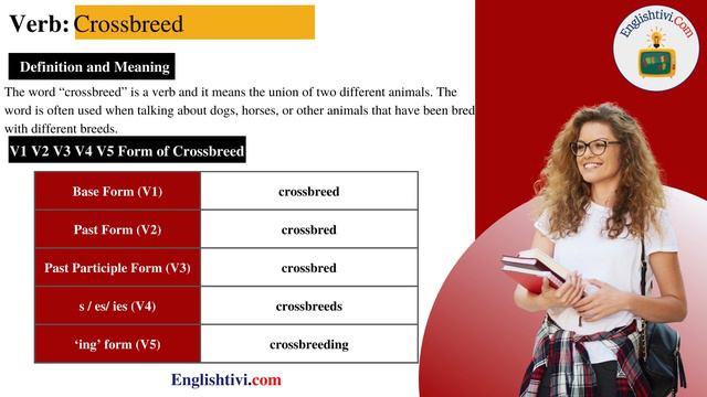 Crossbreed V1 V2 V3 V4 V5 Base Form, Past Simple, Past Participle Form of Crossbreed | Englishtivi смотреть онлайн