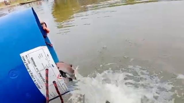 15 октября 2022 г. смотреть онлайн