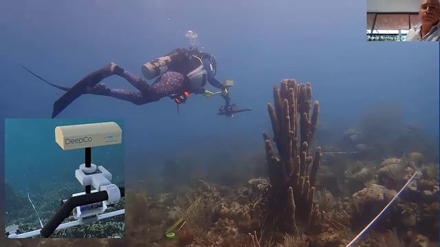 FOTOMOSAICOS PARA EL MONITOREO Y RESTAURACIÓN DE ARRECIFES DE CORAL смотреть онлайн