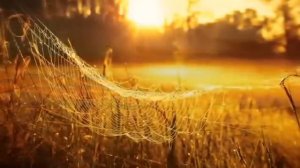 Тютчев Ф.И. Есть в осени первоначальной...