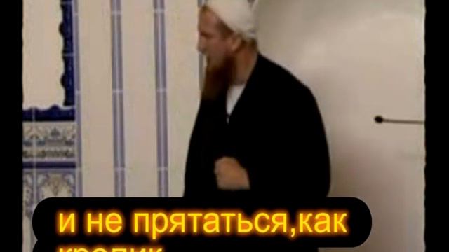 Лучшее от Abu Hamza Пьер Фогел !