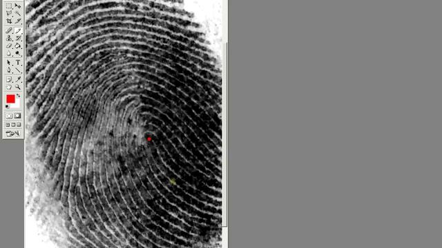 How to Compare Fingerprints - The Basics смотреть онлайн