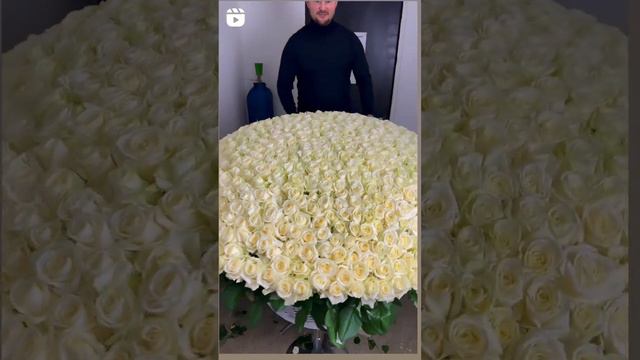 501 бели роз смотреть онлайн
