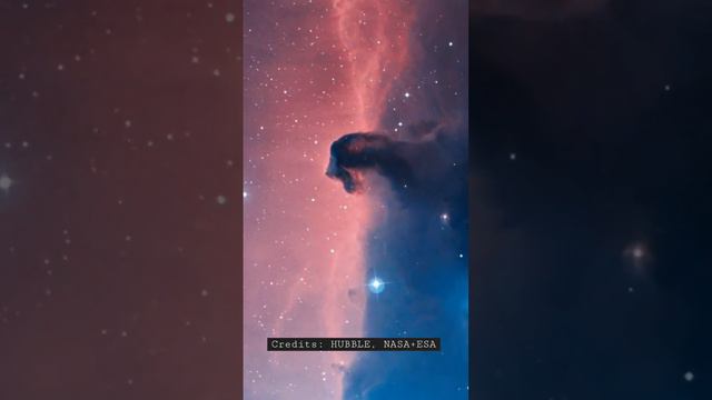 Orion Constellation - spaceinfo.club смотреть онлайн