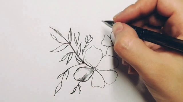 Скетч цветы, заполняю скетчбук /графика цветы/как рисовать цветочки/артблог/легкийрисунок смотреть онлайн