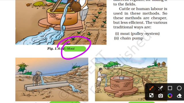 NCERT Class 6-8 Science Important point | शिक्षक भर्ती 2.0 #bpscteacher #ncertscience смотреть онлайн