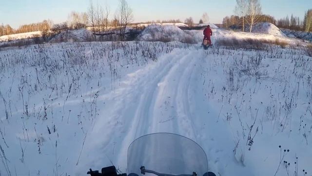 Покатушки на Irbis DINGO T150. Катаемся по зимнему лесу. смотреть онлайн