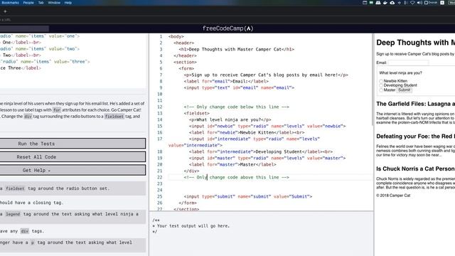 Wrap Radio Buttons in a fieldset Element for Better Accessibility смотреть онлайн
