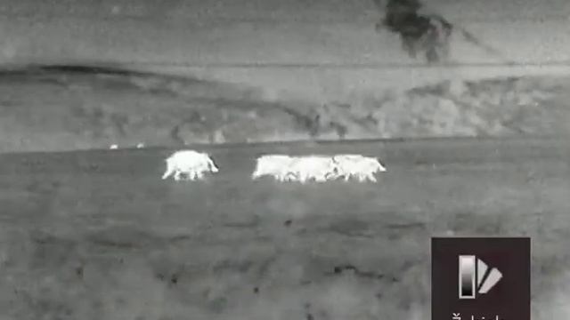 Hikmicro lynx pro lh25 смотреть онлайн