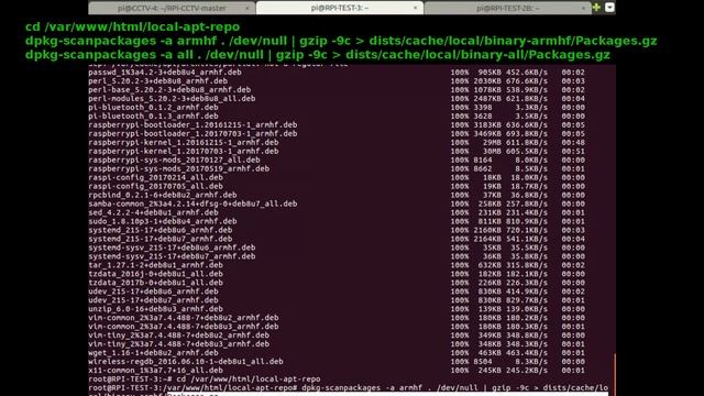 Create A Raspberry Pi APT Local Offline Repository смотреть онлайн