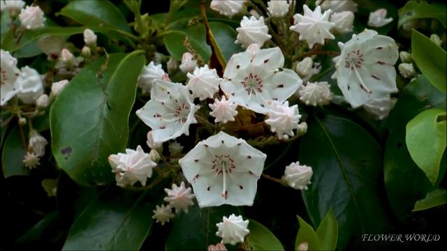 Фотография Портретов