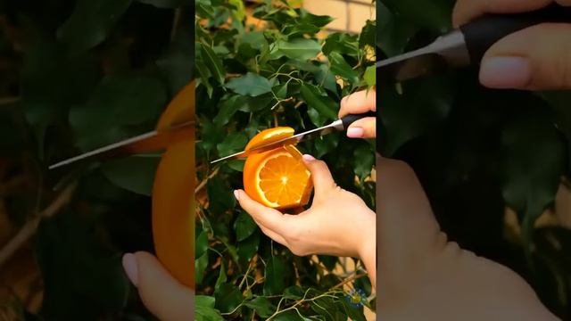 Хитрости на каждый день, которые сделают вашу жизнь проще смотреть онлайн