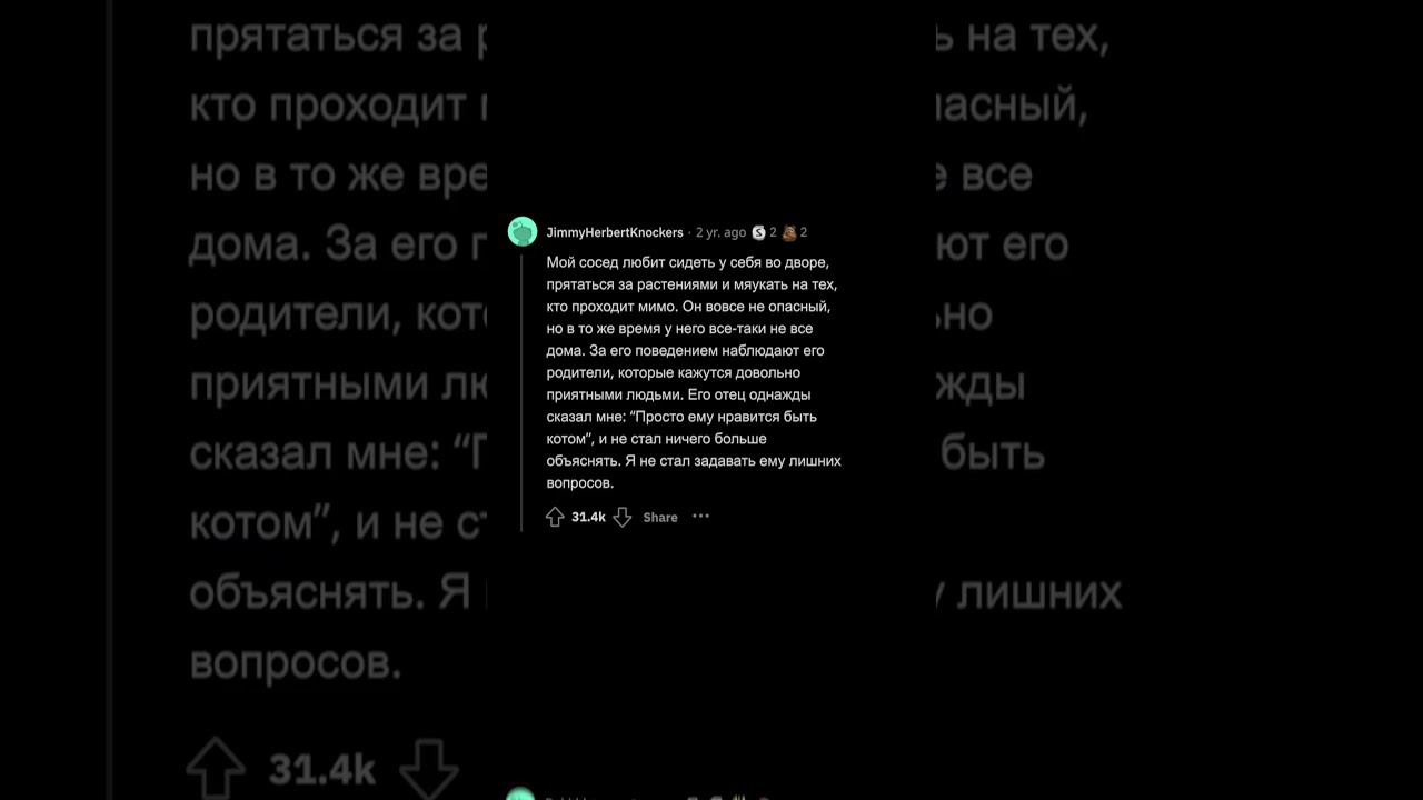 Как Ваш Сосед Заслужил Звание Чокнутого? смотреть онлайн