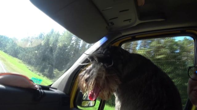 Браслав, водопад на реке Вята. На автодоме по Беларуси #5 смотреть онлайн