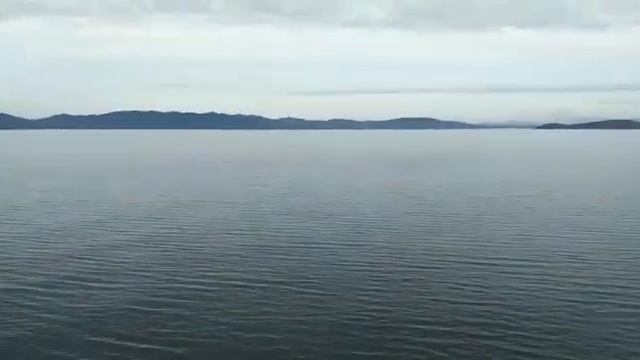 Суходол г.Большой Камень смотреть онлайн