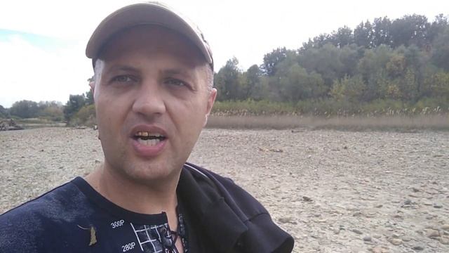 Куда растет мох в лесу / Искали ежевику, нашли странные следы, #Йети? My Travel смотреть онлайн