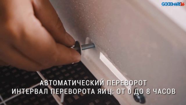 Инкубатор Несушка 77 яиц цифровой без измерителя влажности смотреть онлайн