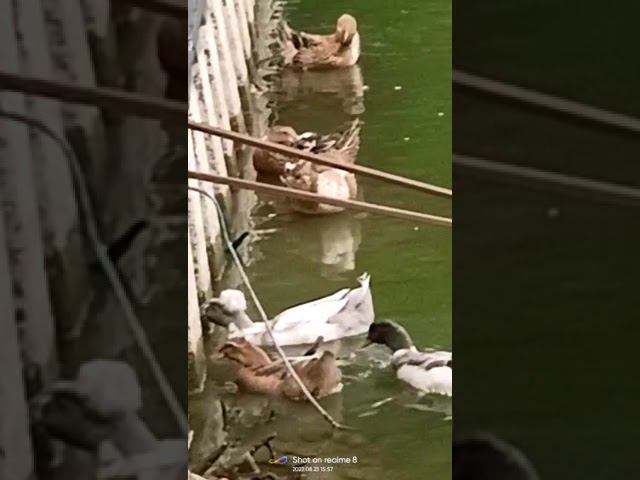 23 августа 2022 г. смотреть онлайн