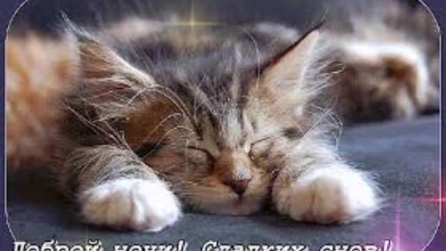 Сказочных снов!