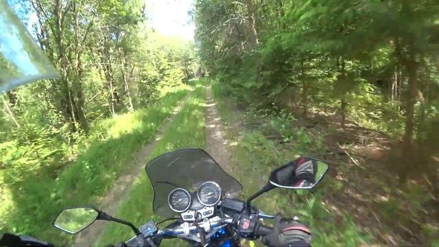 Путешествующую по тверской области на CB400 и Mamiya afd. смотреть онлайн