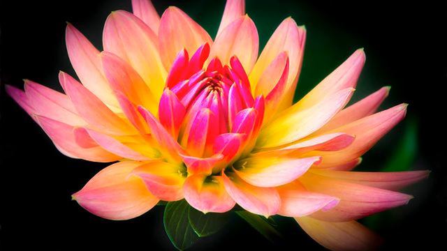 Если вы поможете Аллаху, то Аллах поможет вам! (Коран 47:5 -7) смотреть онлайн