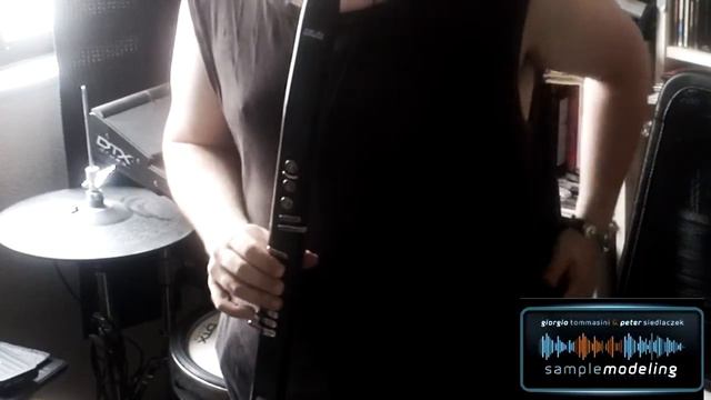 Sample Modelingin collaboration with Audio Modeling - Soprano Sax, Flute - Space-Time Remembered смотреть онлайн